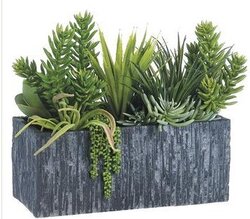 21"Hx15"Wx23"L Succulent in Fiber Cement Planter Green