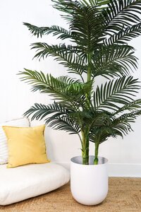 6.5 feet Artificial Golden Cane Artificial Palm Tree