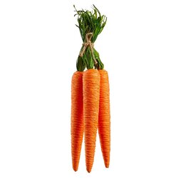 15 inches Carrot Bundle  Orange