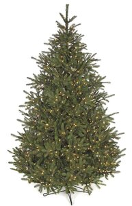 7.5 feet Elizabeth Pine Christmas Tree - Full Size - 750 Warm White LED Lights