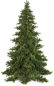 15 feet Nikko Fir Christmas Tree - Full Size - 2,750 Warm White LED Lights