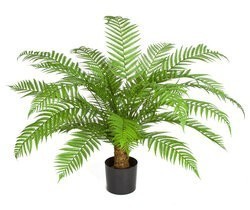 30" UV Alsophilia Fern Bush