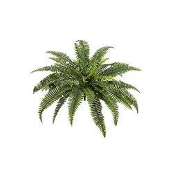 26 inches Outdoor UV Protected Boston Fern Bush  Green