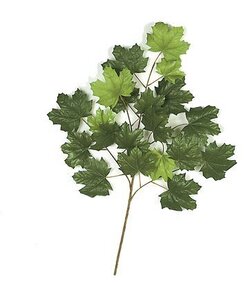 40 inches  Maple Branch - 20 Tutone Green Leaves - 29 inches Width