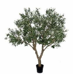8 Foot Fire Rated Olive Tree 60 inches Wide