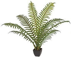 P-113615  4 feet Potted Sword Palm - Soft Touch -9 Fronds - Black Urn