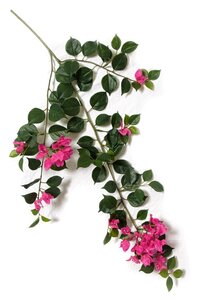 32.5" Fuchsia Bougainvillea Branch  Fire Retardant  ****Sold Per Piece