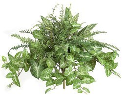 20 inches x 24 inches Mixed Foliage Bush
