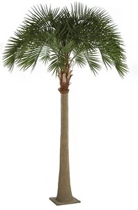 17 Foot Outdoor Royal Palm Tree with Fiberglass Trunk