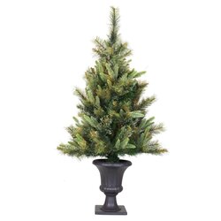 3.5 feet x 28 inches Potted Cashmere Pine 218 Tips