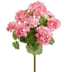 18 inches Outdoor UV Protected Geranium Bush Pink