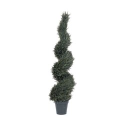 5 feet Outdoor Pond Cypress Spiral Tree