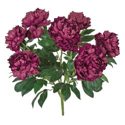 22 inches FIRESAFE PLUM/ROSE FLOWERING PEONY BUSH