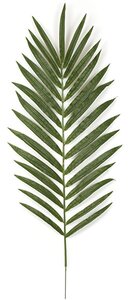 48 inches Kentia Palm Branch - 23 Green Leaves - FIRE RETARDANT
