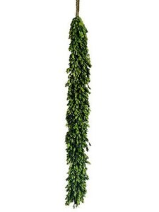 45 inches Preserved Boxwood Garland  Green