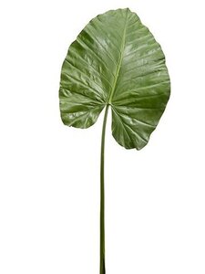 43 inches Elephant Ear Leaf Spray