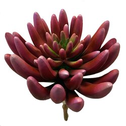 5.5 Inch FR Succulent Pick  Magenta color