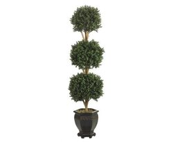 5 feet Triple Ball Outdoor Boxwood Topiary in decorative pot Pot shown