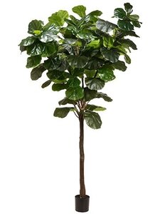9 feet EVA exotic Giant Fiddle Leaf Tree in Pot Knock-down Packing Green		EA