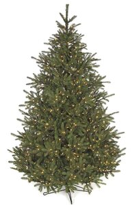 12 feet Elizabeth Pine Christmas Tree - Full Size - 1,800 Warm White LED Lights