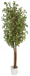 Outdoor UV Rated  Polyblend Birch Tree*** Many Heights See Details.