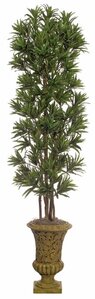 7 feet Dracaena Reflexa Tree - Natural Trunks - 2,820 Leaves - Green/White - Weighted Base