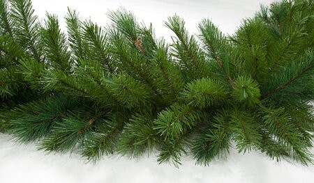 25 Foot x 18 Inch Mixed Pine Garland with or without lights