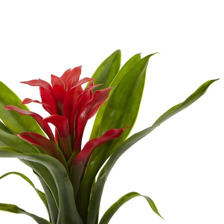 10" Bromeliad Artificial Flower (Set of 6)