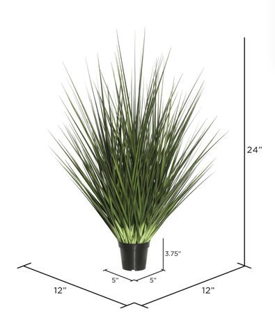 24”  Extra Full Onion  Grass  in Pot