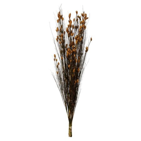 36-40" Bell Grass Aspen Pod 16oz Bundle