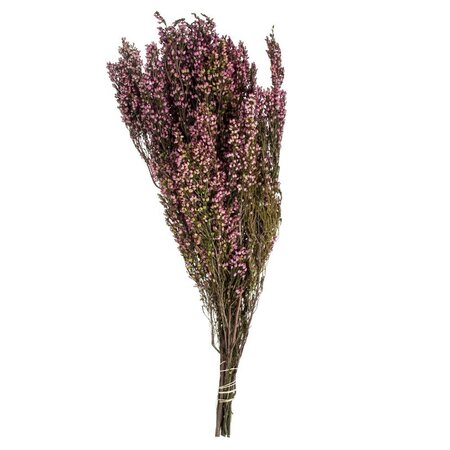 18-20" Pink Heather Erica 4-5oz Bunch