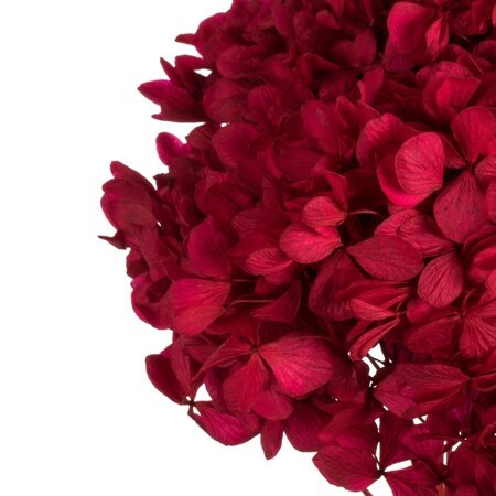 15" Red Hydrangea Stem