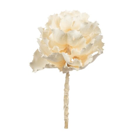 8" Bleached Queen Flower Stem