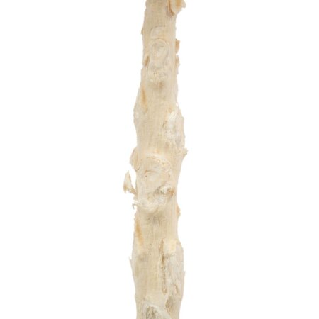 8" Bleached Queen Flower Stem