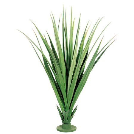 55 inches Outdoor Dracaena Draco Base Plant with 31 Leaves Two Tone Green