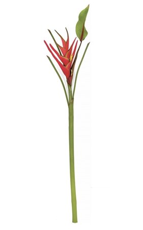 31.5 inches Artificial Flowering Red Heliconia Spray