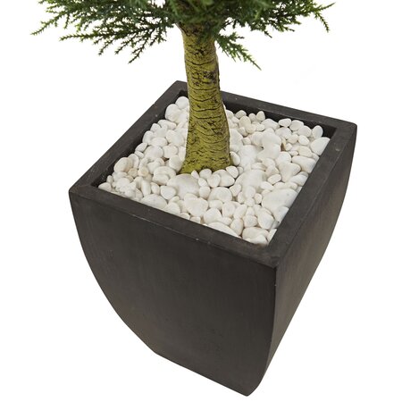 4.5 Foot Cypress Topiary with Black Planter UV Resistant (Indoor/Outdoor)
