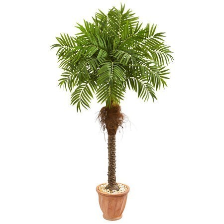 68” Robellini Palm Artificial Tree In Terra Cotta Planter