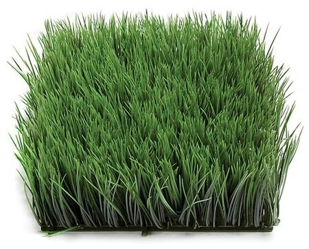 10 Inch X 10 Inch X 4 Inch Polyblend Long Wheat  Grass Mat - Regular Or Fire Retardant