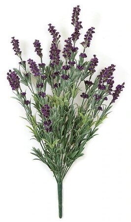 24 Inch Dark Purple Lavender Bush