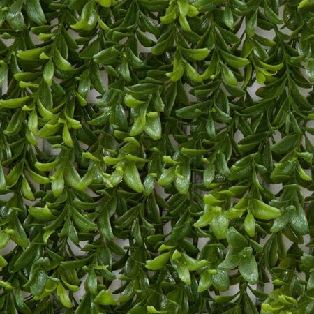 20 X 2.5 Inch Hanging Polyblend Outdoor Boxwood Mat