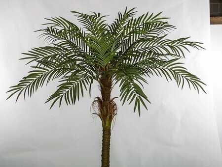 7 FOOT  Artificial  PHOENIX PALM TREE X 18 FRONDS