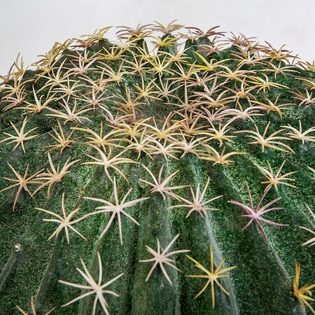 BARREL HEAD CACTUS WITH STEM | 12.5 inches OR 15.5 inches