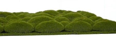 20 Inch X 20 Inch Green Lump Moss Mat