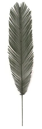 4.5 Feet, 5.5 Feet, 7.5 Feet, 8.5 Feet Tall X 68 Inch Width - Polyblend Cycas Palm Trees