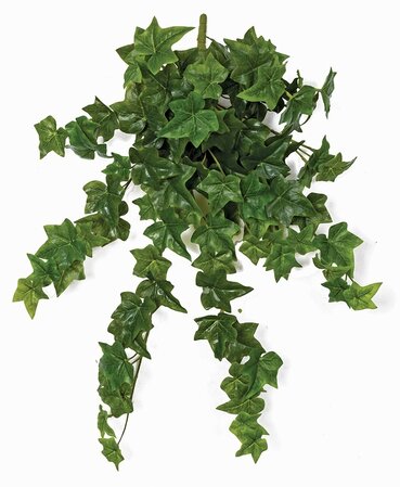 24 inches NATURAL TOUCH HANGING SAGE IVY BUSH