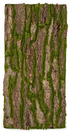 40 Inch X 20 Inch Foam Bark/Moss Sheet