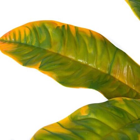 34 Inch Outdoor Uv Large Yellow Croton Bush