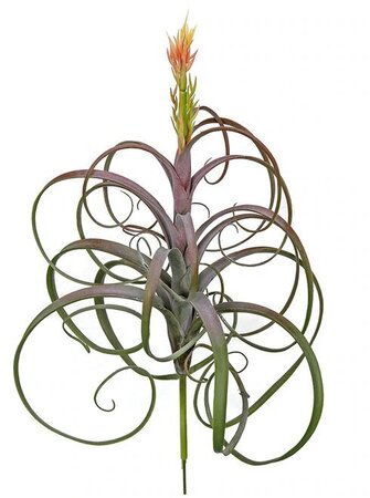 23 Inch Outdoor Flocked Air Grass Plant With Orange/Green Flower Bud