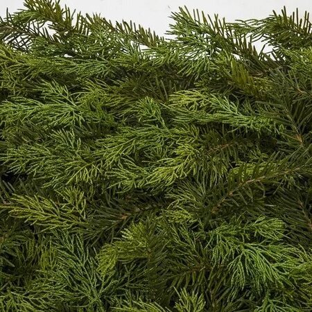 23 Inch X 23 Inch Cedar And Pine Foliage Mat On Foam Base